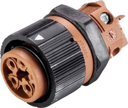 Wieland Electric 46.051.5050.4 Bullet connector Socket, built-in Total number of pins: 5 Series (round connectors): RST® MINI
