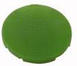 A green circle on a white background.