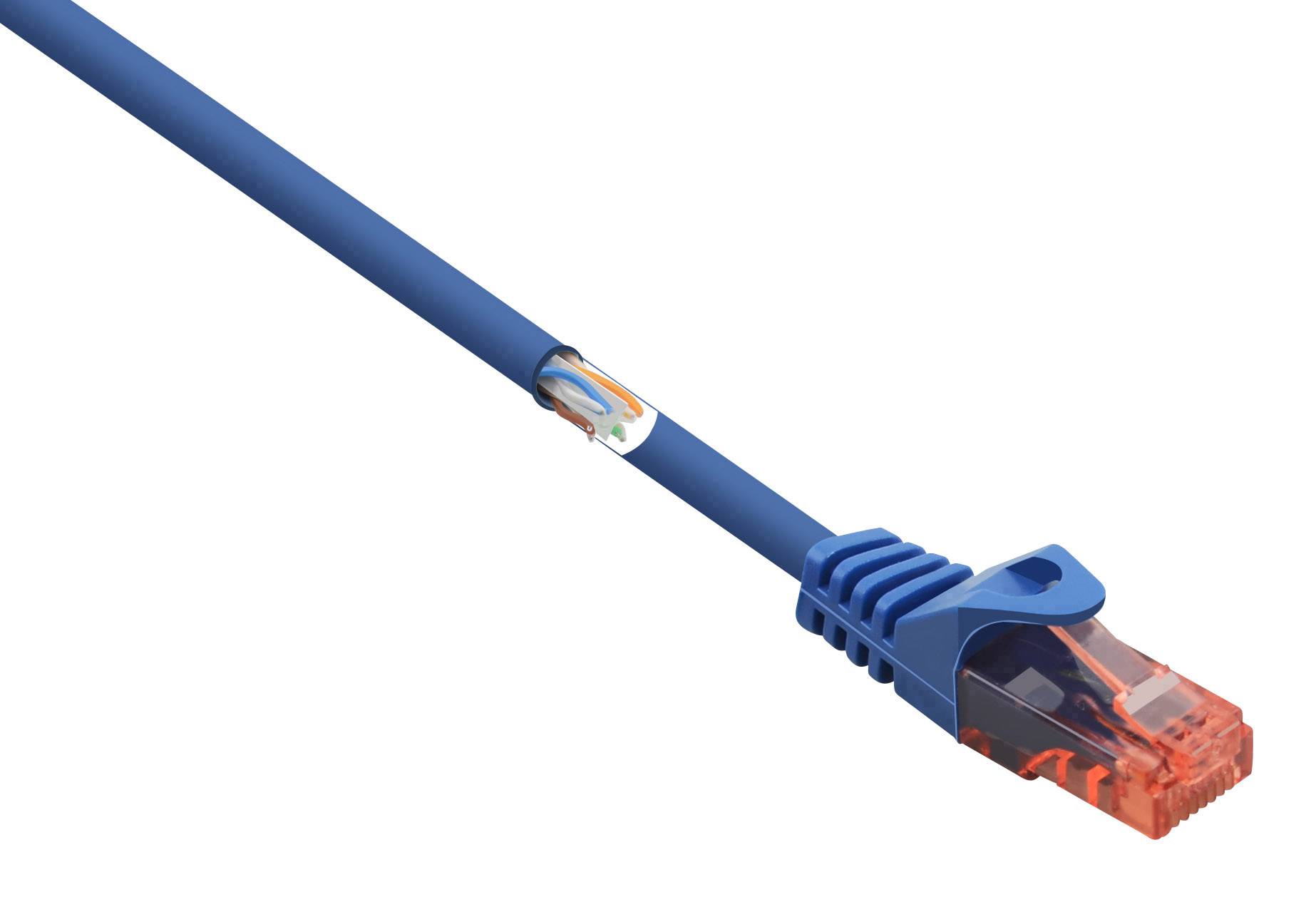 A blue Ethernet cable with a transparent, red connector. Part of the cable shows exposed wires.