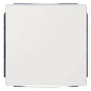 A white light switch is depicted centrally, shown frontally. The switch has a square shape and a smooth surface.