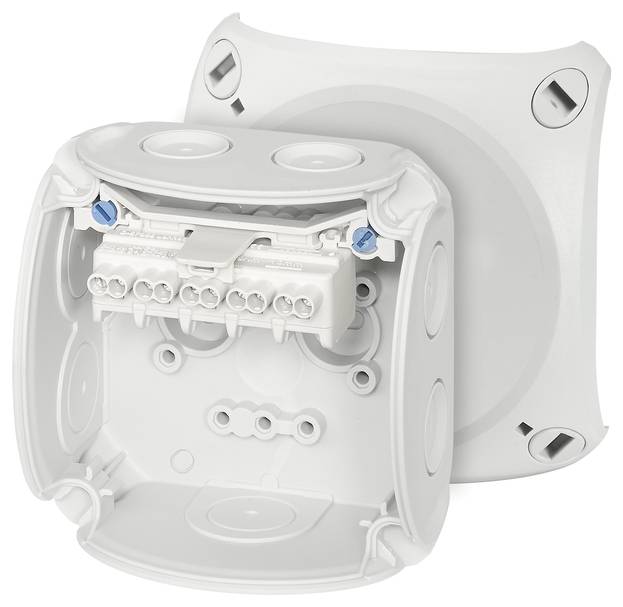 Hensel 62000001 Junction box (L x W x H) 62 x 93 x 93 mm Grey-white (RAL 7035) IP66 1 pc(s)