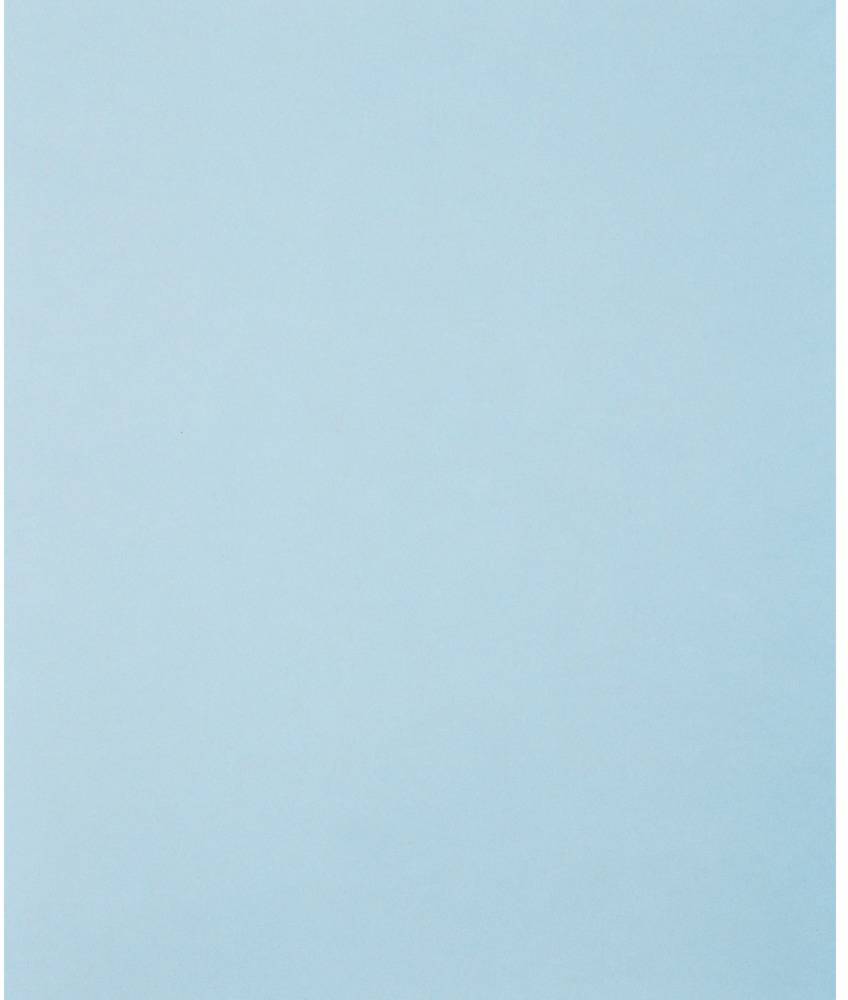 PFERD 45015120 Sandpaper sheet Grit size 1200 (L x W) 280 mm x 230 mm 50 pc(s)