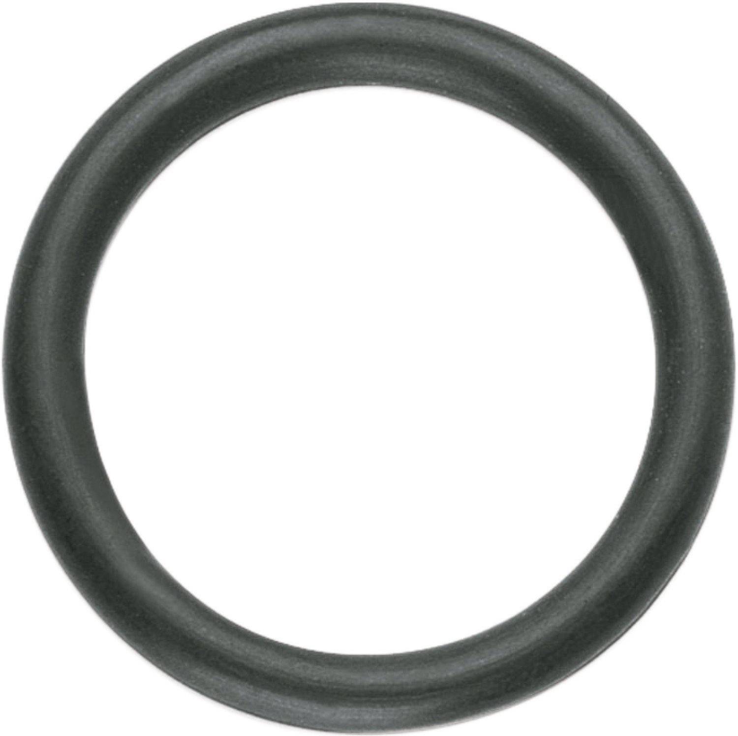 A black rubber O-ring.