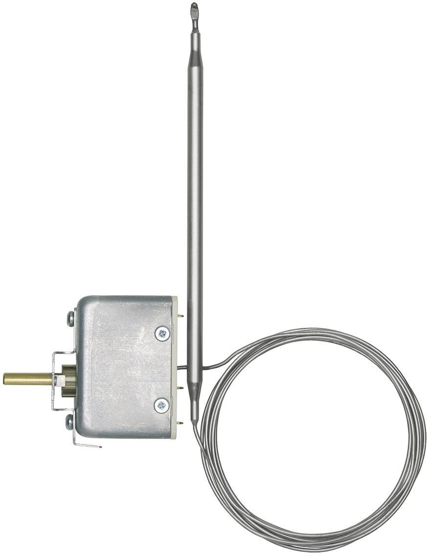 Jumo 60002085 Temperature limiter 20 up to 500 °C