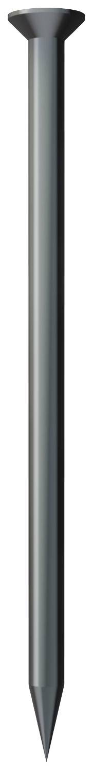Long, silver nail with a pointed end and flat head, shown standing upright.