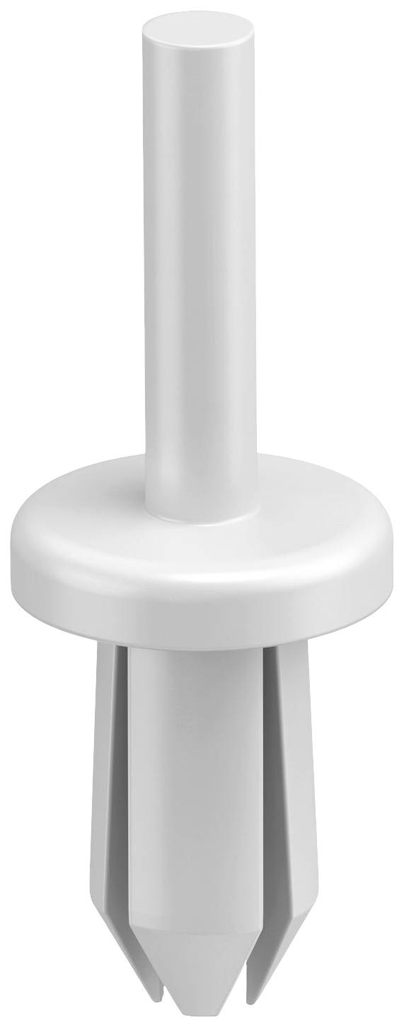 OBO Bettermann 6178525 Countersunk-head rivet (Ø) 6 mm KSN22 100 pc(s)