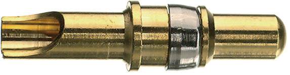A golden, cylindrical plug, possibly an electrical contact, with a ring-like structure in the centre.