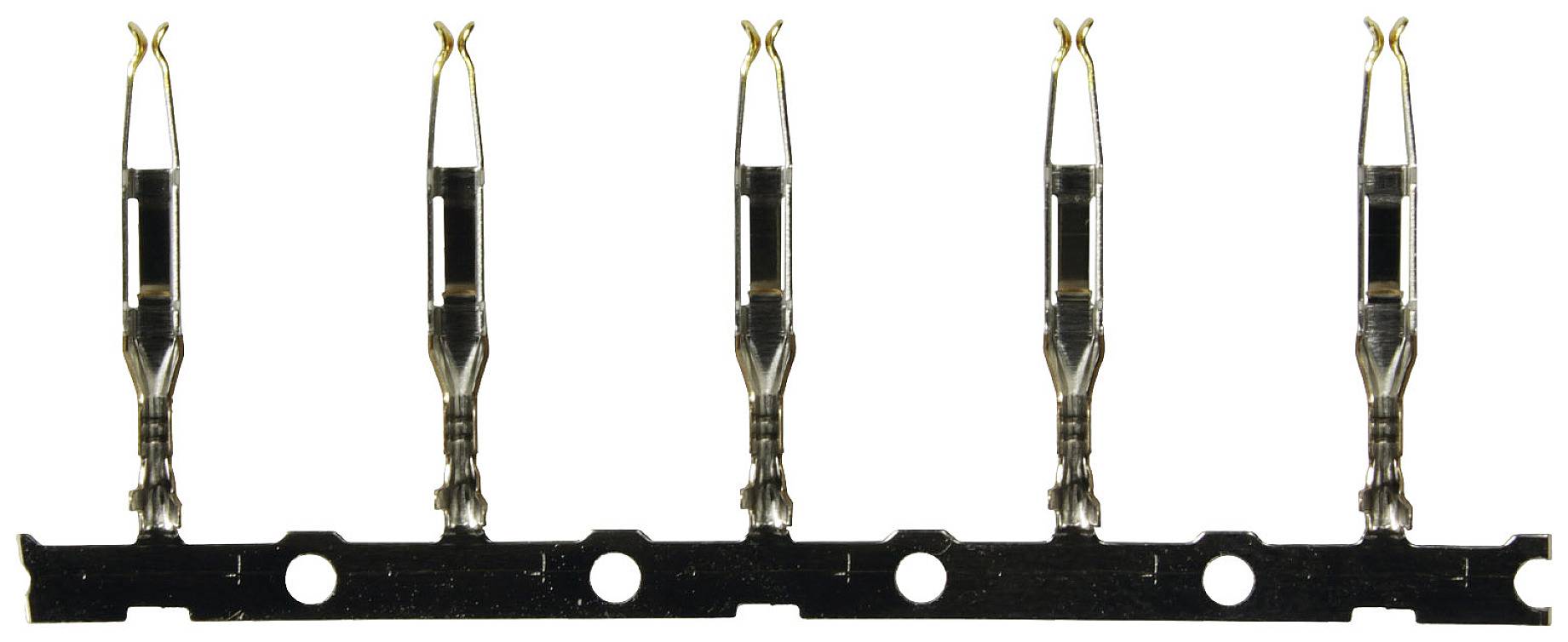 Five metal contacts on a black rail, evenly distributed, open ends facing upwards.