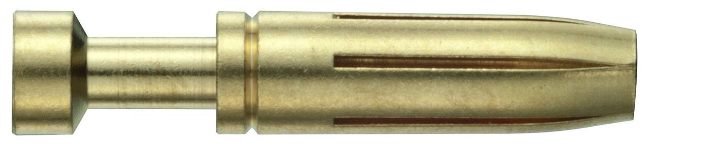 A brass wall plug with slits, used for connecting or fixing, is positioned horizontally against a white background.