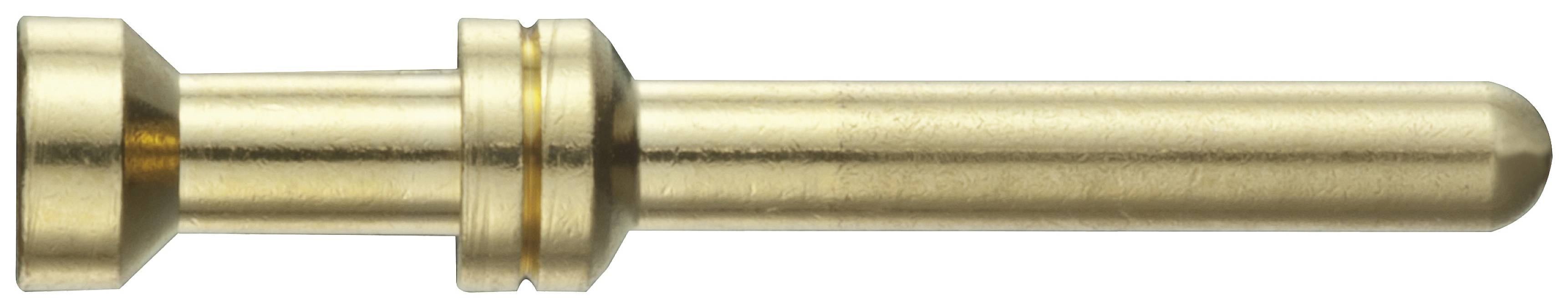 A gold-coloured metal pin with ring-shaped thickenings in the middle.