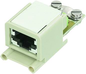 A rectangular RJ45 keystone module, typically made of plastic and metal, shows a network socket with two screw mounting points.