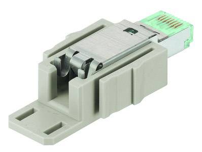 A grey Ethernet plug with a plastic housing and metal connector, with network connection contacts visible inside.