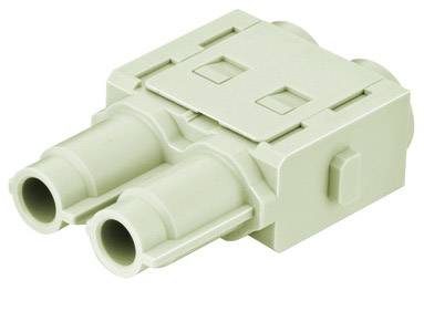 Dual optical adapter in beige, suitable for high data transfer rates in network connections.