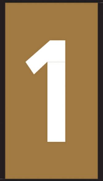 The image depicts the number '1' in white on a brown background.