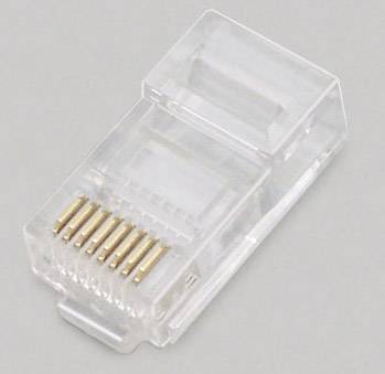 Close-up of an RJ45 plug, used for Ethernet connections. Golden contacts are visible, with a transparent plastic housing.