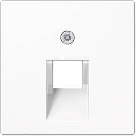 White socket cover with square frame and screw at the top.