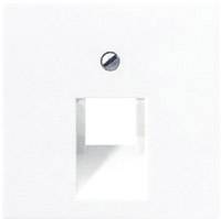 Jung 1x Cover Cover Alpine white A569-1PLUAWW 1 pc(s)