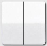 A white double switch on a wall. The switch has two rectangular surfaces used for turning devices on and off.