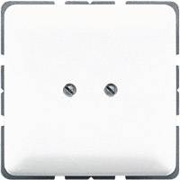 Jung 1x Cover Blind Alpine white CD561BWW