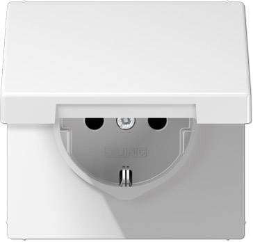 White earthed socket with hinged cover, showing two electrical contacts and earth. Suitable for electrical devices in indoor settings.