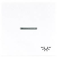 Jung 1x Cover Light symbol toggle White LS990KO5LWW 1 pc(s)