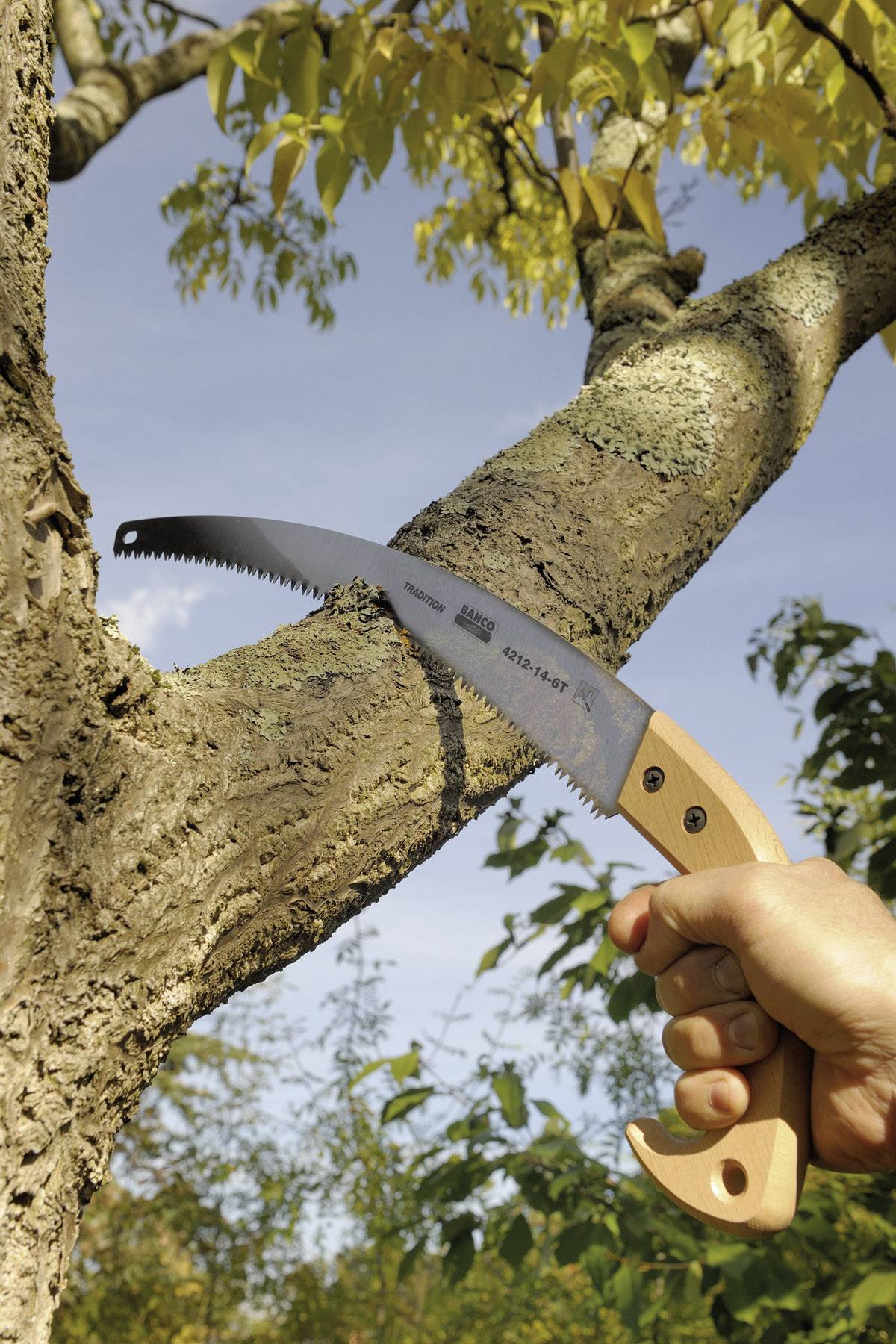 A hand holds a handsaw against a tree branch, ready to cut. Background of blue sky and green leaves.