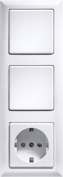 Double switch and socket in a white wall plate unit.
