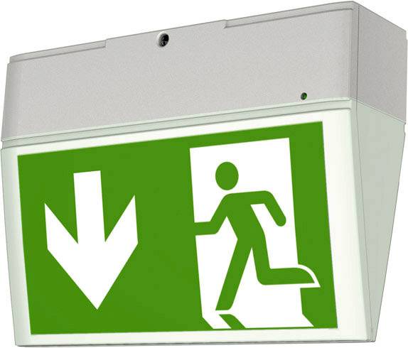 CEAG 40071354900 LED escape route lighting Ceiling surface-mount, Wall surface-mount Left, Right, Down