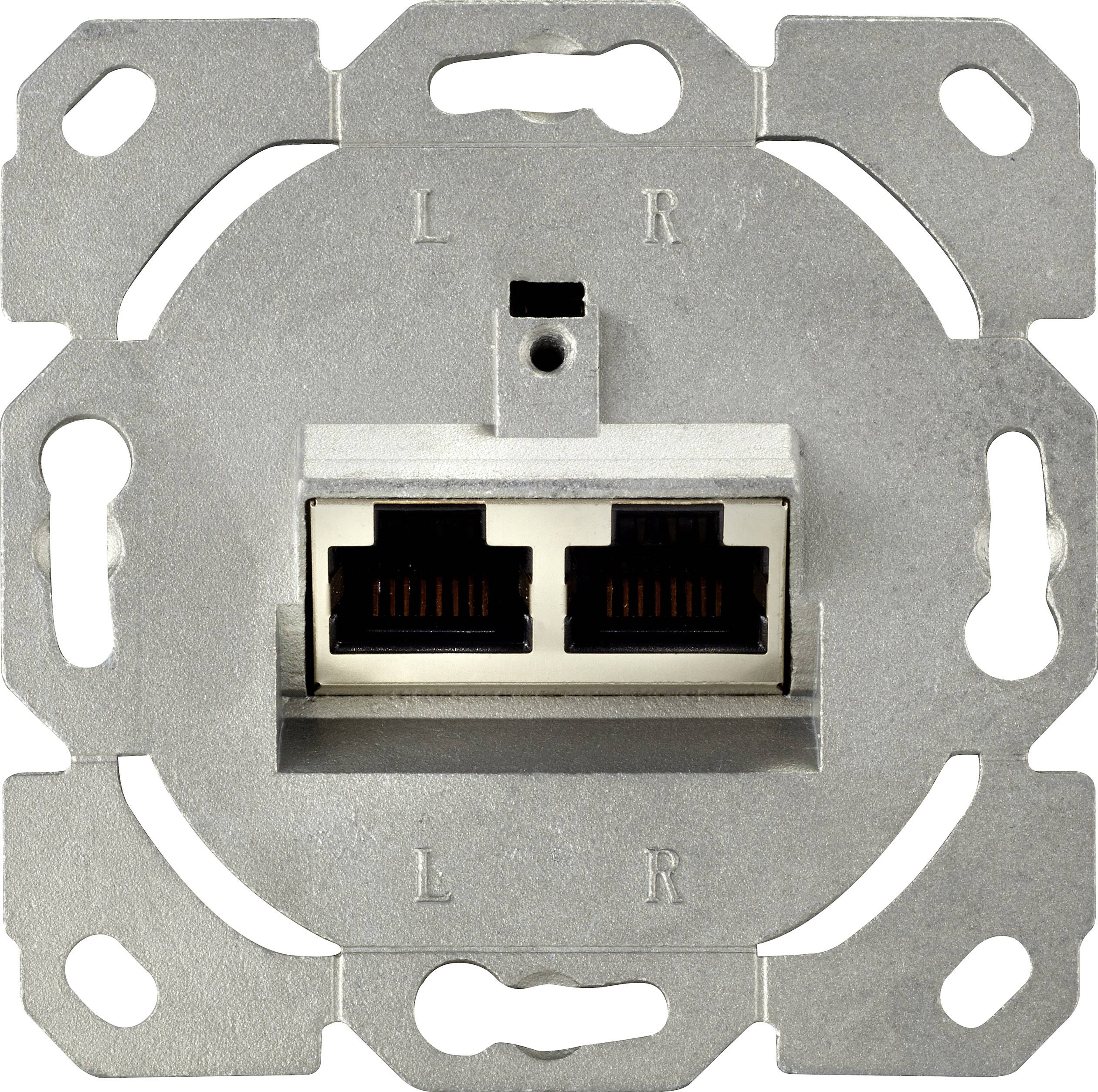 Renkforce Network outlet Flush mount Insert CAT 6A 2 ports White