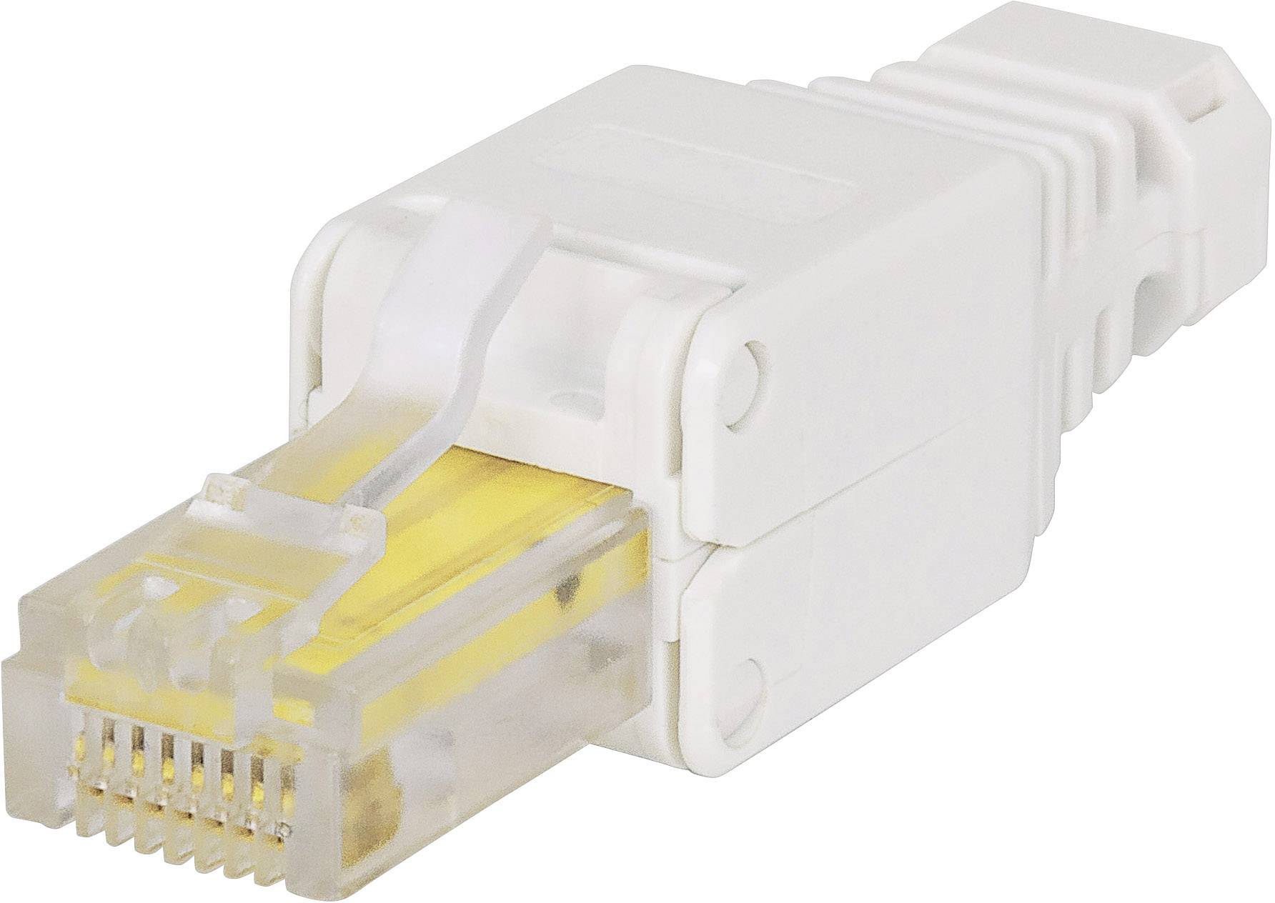 A white LAN plug with transparent contacts, typical of network cable connections, shown against a neutral background.