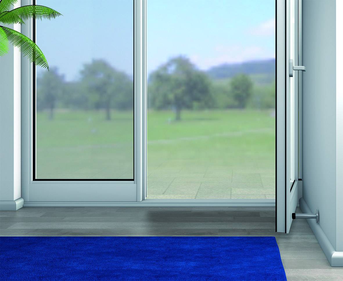 View through an open glass door onto a verdant park with trees and a blue sky. The floor is covered with a blue carpet.