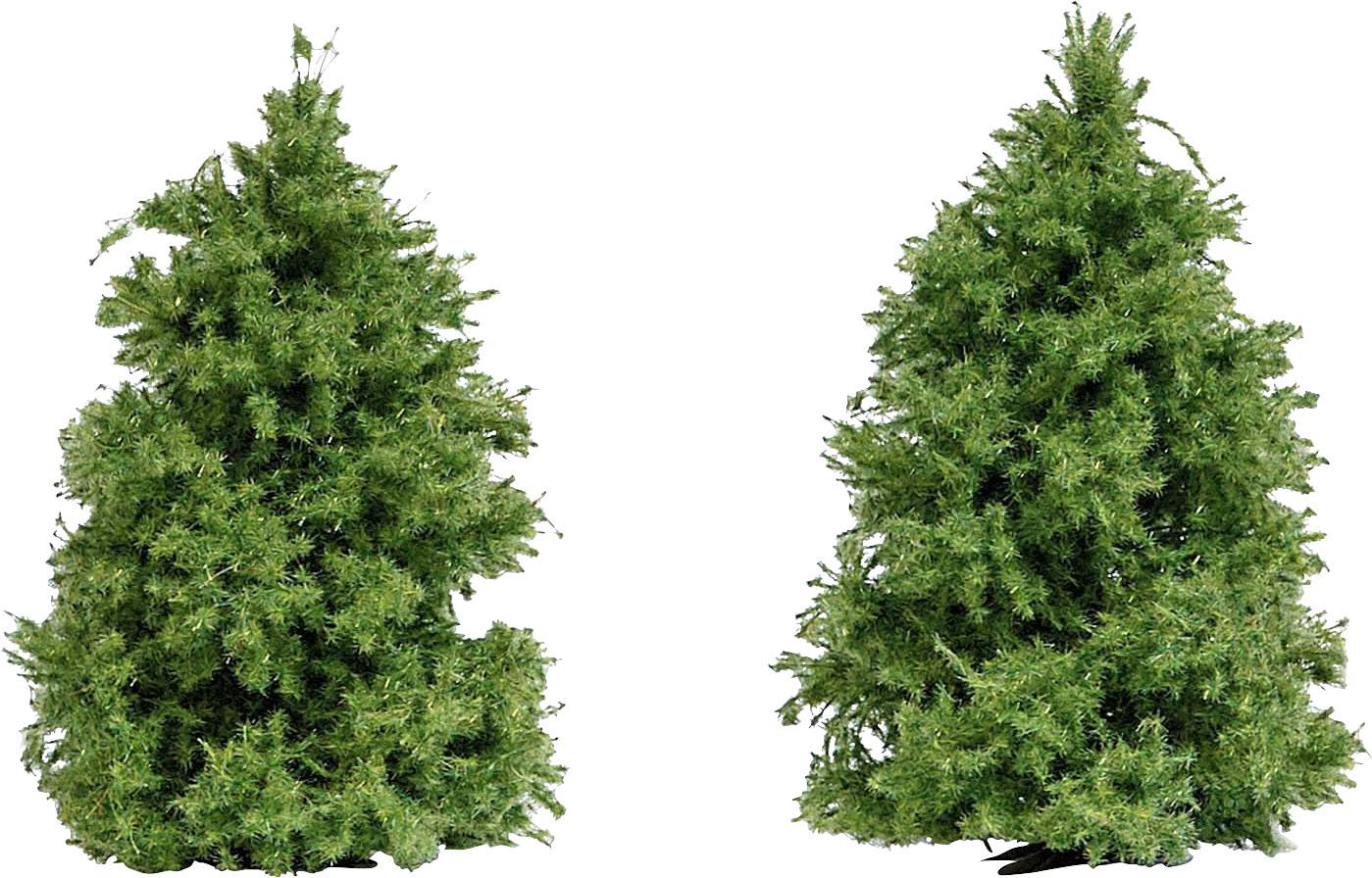 Busch 6122 Tree Larch 60 up to 60 mm Green 2 pc(s)