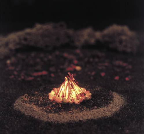 Viessmann Modelltechnik 5022 H0 campfire Assembled