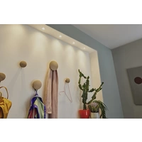 Paulmann 94304 EBL Nova mini Coin LED recessed light 4 W Aluminium Paulmann 94304 EBL Nova mini Coin LED recessed light 4 W Aluminium