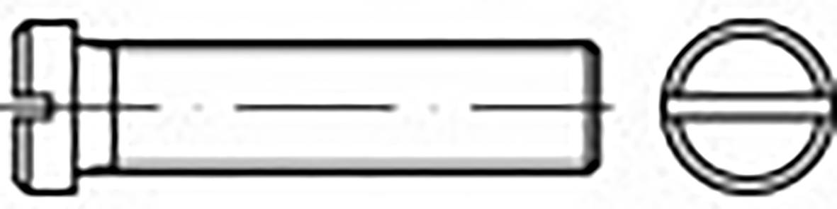 TOOLCRAFT TO-6857436 Pan head screws M4 10 mm Slot DIN 920 100 pc(s)