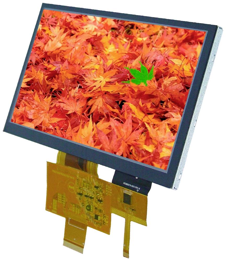 DISPLAY VISIONS LCD (W x H x D) 165 x 100 x 5.8 mm