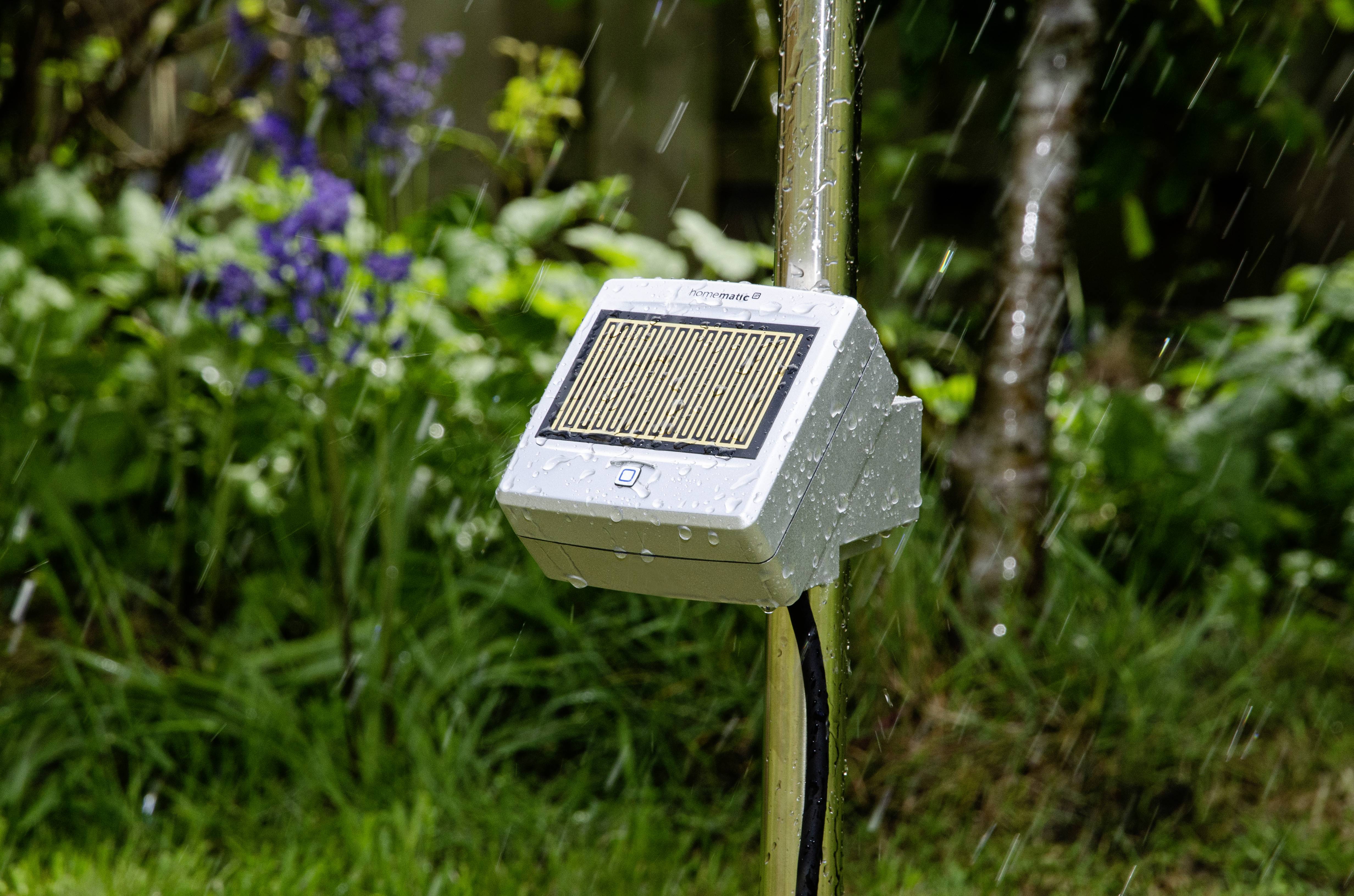 A solar-powered rain sensor in the garden, surrounded by grasses and flowers, while it is raining.