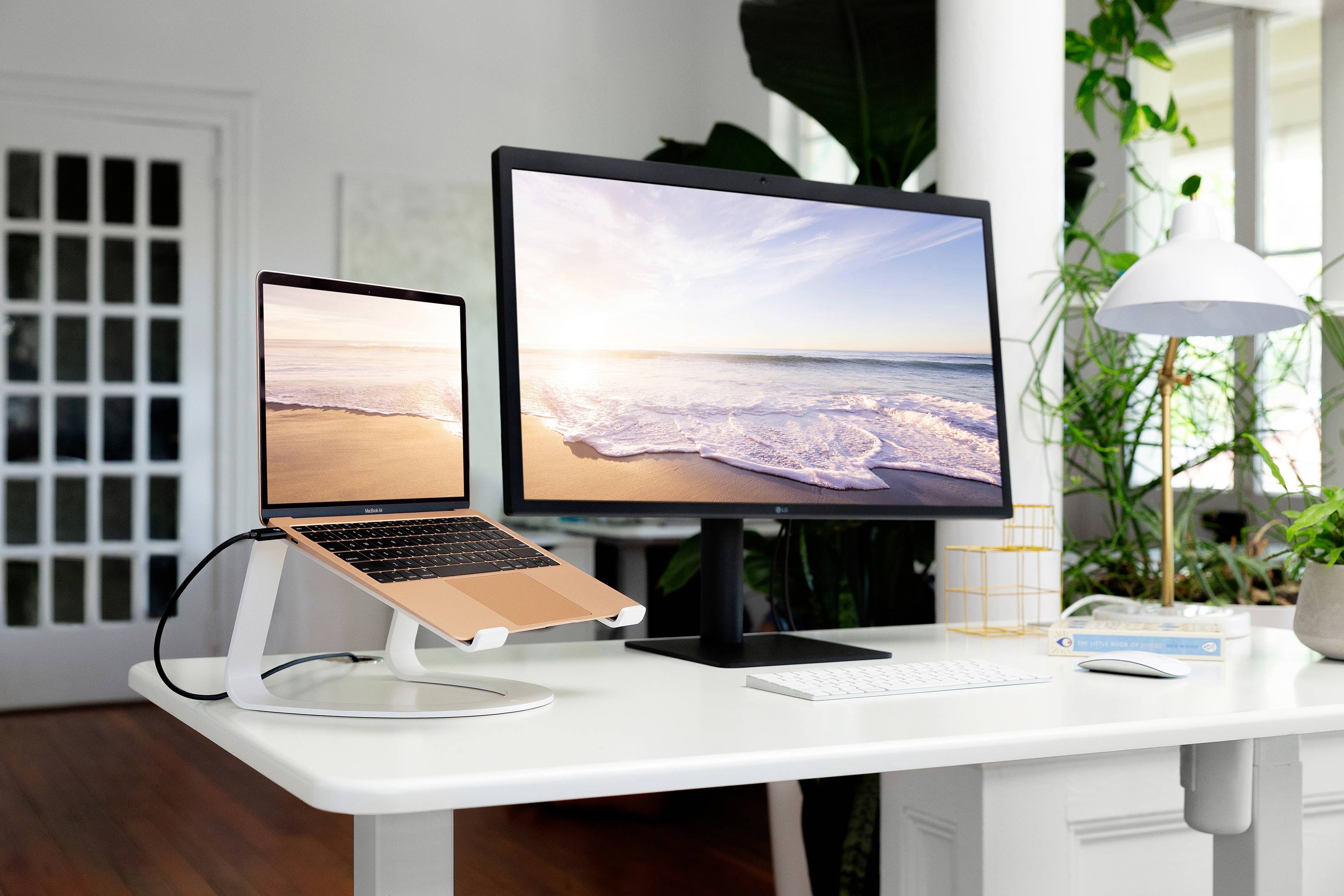 Twelve South Curve Laptop stand