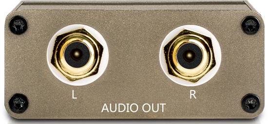 Two audio sockets, left 'L' and right 'R', on a rectangular housing marked 'AUDIO OUT'.
