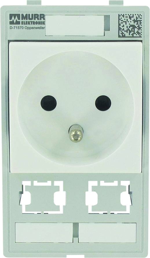 Combination insert 1-way France 2x data cut-out Modlink MSDD Murrelektronik Content: 1 pc(s)