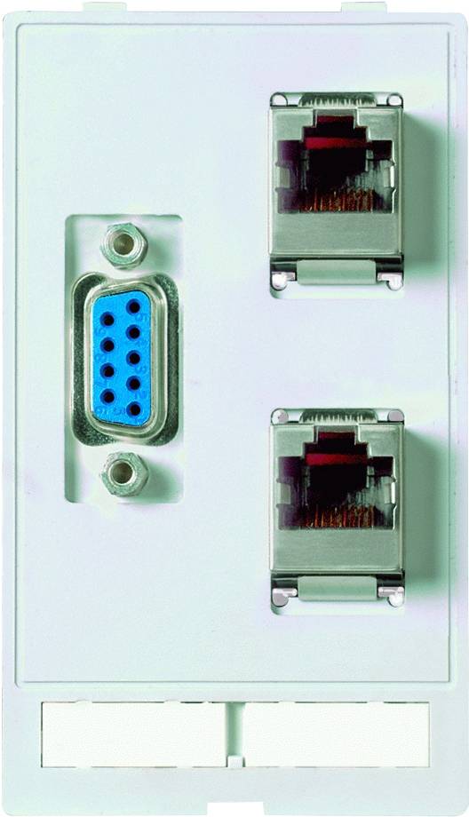 Data connector insert Modlink MSDD Murrelektronik Content: 1 pc(s)