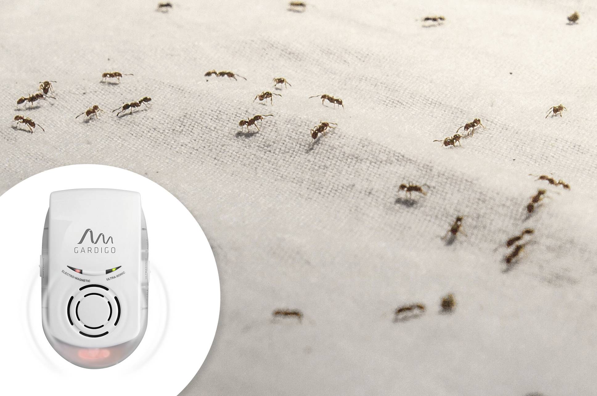 Gardigo Insect repeller Working principle Multi-frequency, Ultrasound Operating range 230 m² 1 pc(s)