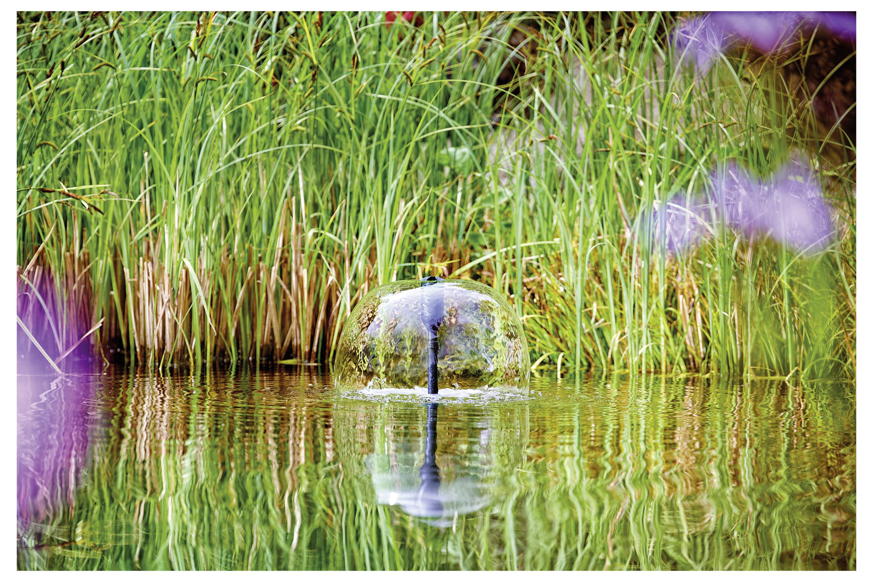 A small fountain surrounded by lush green grass and reeds in a tranquil pond, creating a serene and natural setting.
