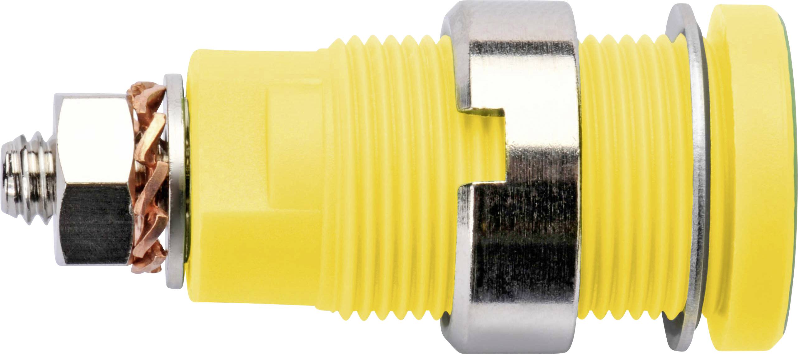 Schützinger DI SEB 6445 Ni / GNGE Safety socket Green-yellow 1 pc(s)