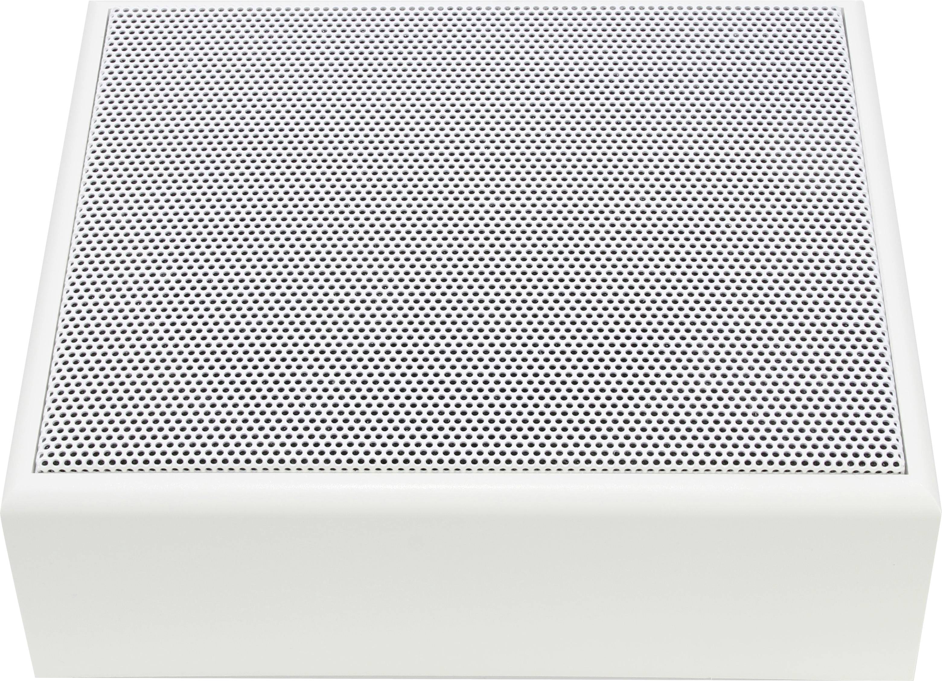 Visaton WL 16 EV - 100 V Wall speaker White 1 pc(s)