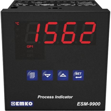 Emko ESM-9900.1.20.2.1/00.00/0.0.0.0 Process display
