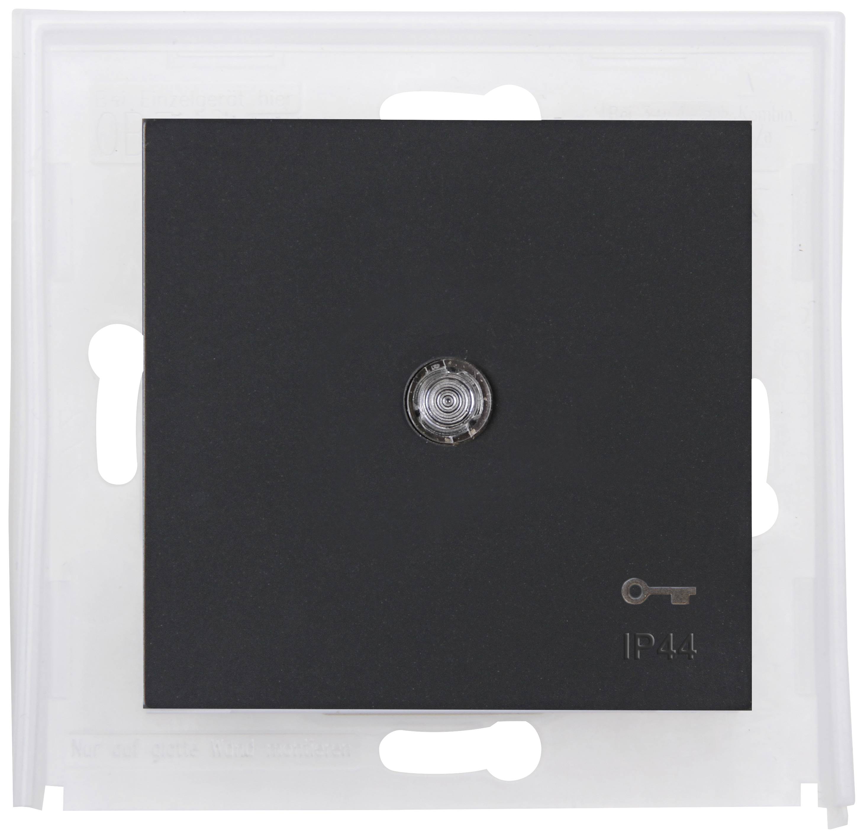 Black wall switch with transparent cover and key symbol, suitable for damp environments (IP44).