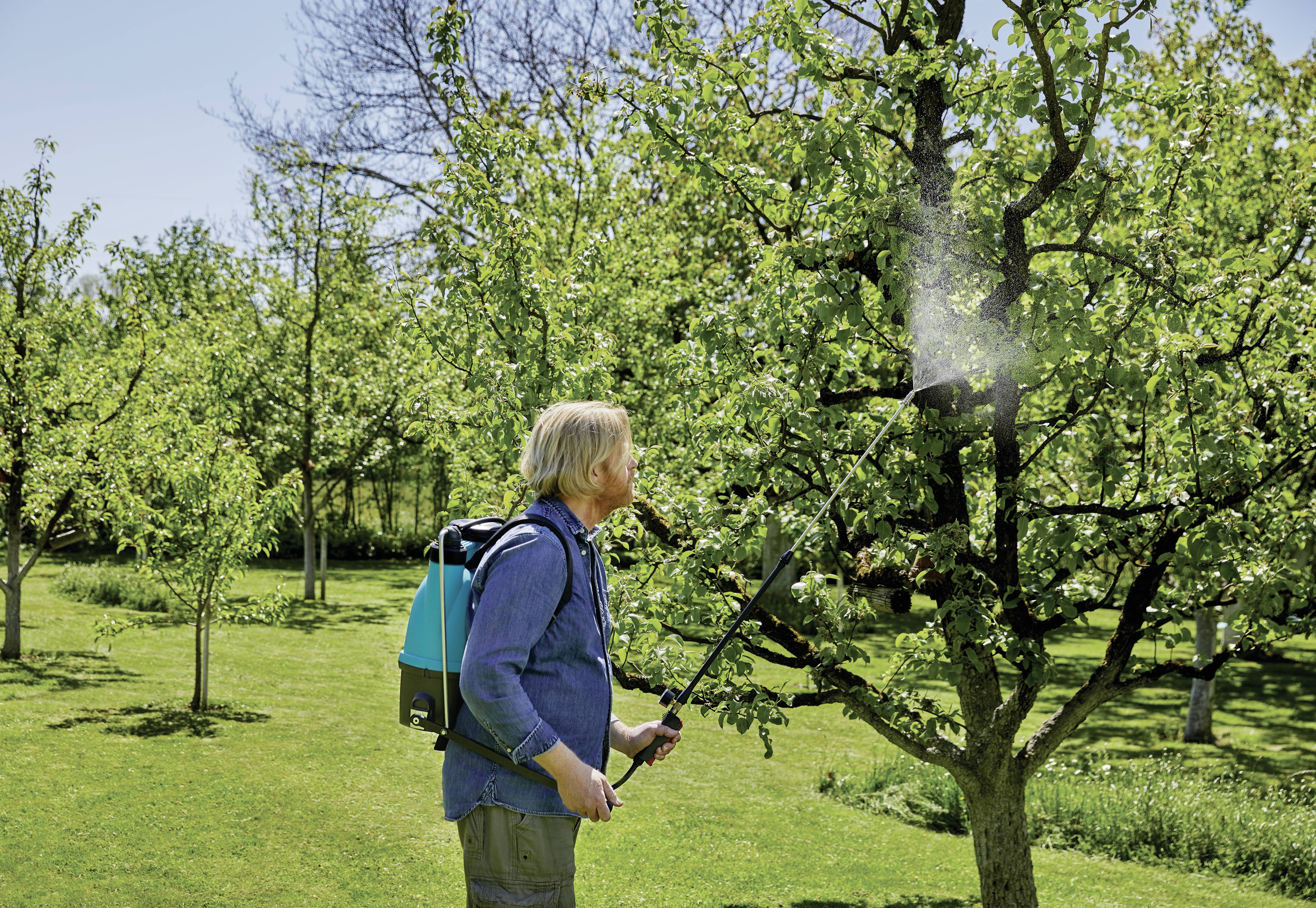 A person is spraying liquid onto a tree in a green garden, surrounded by other trees.