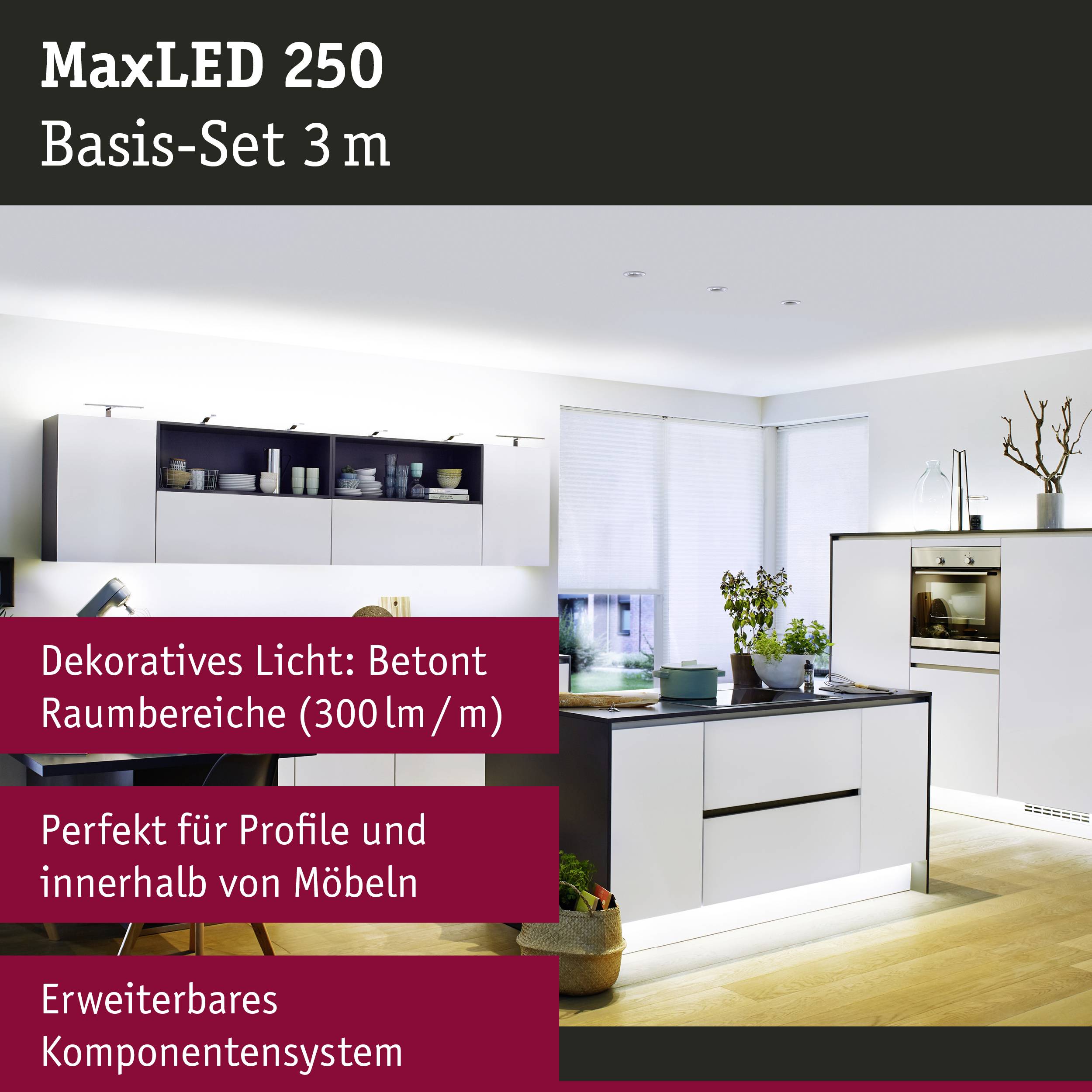 Interior view of a modern kitchen with LEDs; concrete-effect design. Illuminated kitchen shelving with plants and decorative items; expandable set.