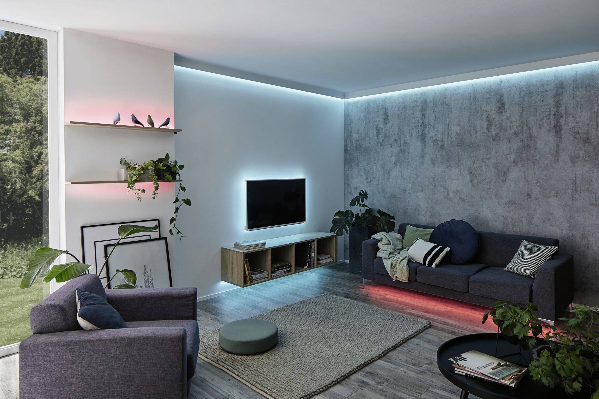 Living room with modern design: two sofas, a wall-mounted television, plants and atmospheric LED lighting in blue and pink.